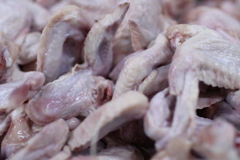 how to prepare chicken for a dog