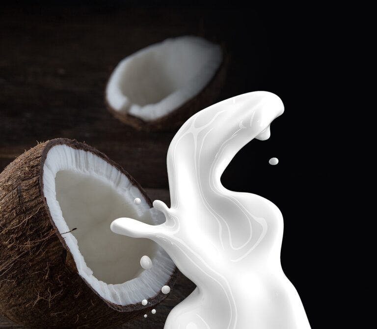 can dog have coconut milk