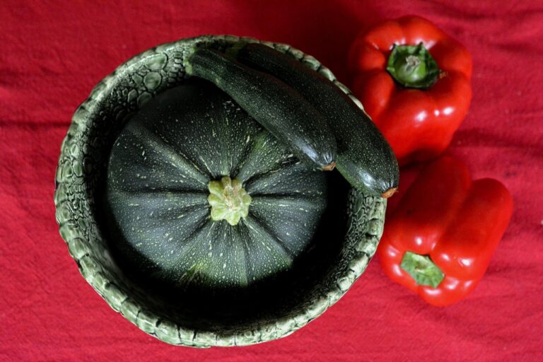 can dogs eat courgette