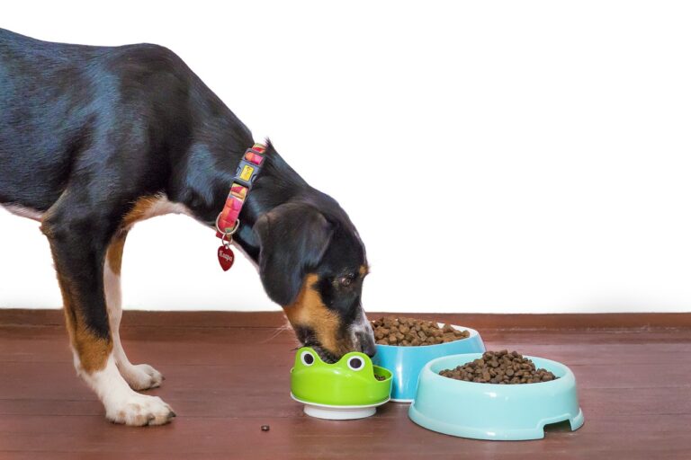 granola for dogs
