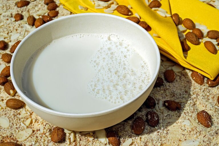 can dogs eat almond milk